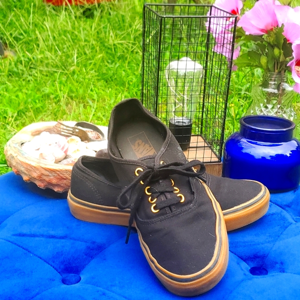 Vans unisex skate shoes